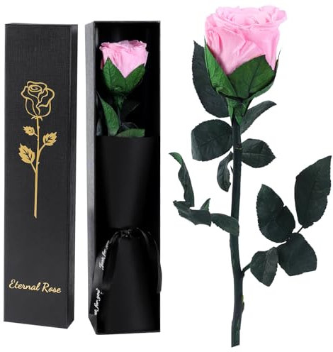 FRFG Vera Rosa Eterna Regalo Donna, Stabilizzata Vera Rosa con Steli Idee Regalo per Anniversario, Mamma, Donna Compleanno, San Valentino per Donne (Rosa)