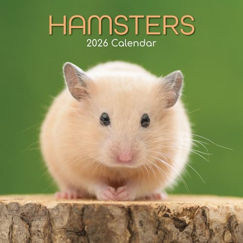 The Gifted Stationary Wandkalender 2026, quadratisch, Hamster, 16-monatiger Tier-Thema, Hängekalender mit 180 Erinnerungsaufklebern, Monatsplaner für Zuhause oder kreative Räume, 30,5 x 30,5 cm