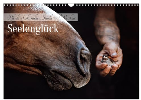 Seelenglück Kalender - Pferde - Charakter, Stärke, Weisheit (Wandkalender 2026 DIN A3 quer), CALVENDO Monatskalender: 12 Seelenglück Pferde begleiten ... durch dein kommendes Jahr! (CALVENDO Tiere)