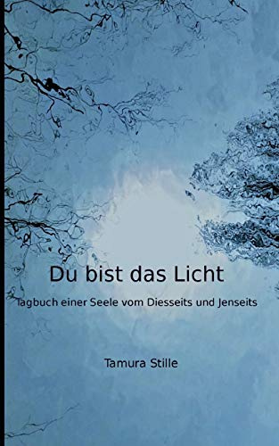 Du bist das Licht: Tagebuch einer Seele vom Diesseits und Jenseits