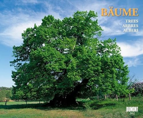 Bäume, Fotokunst-Kalender 2012