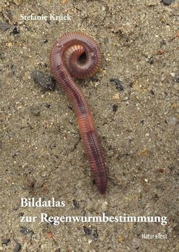 Bildatlas der Regenwurmbestimmung: Mit einem Kompendium der Regenwurmfauna des Nordostdeutschen Tieflands