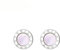 BISONBLUE Orecchini Donna 925 Orecchini a Cerchio Moda donne Regalo Orecchini da donna Orecchini femminili classici con numeri romani bianchi e neri in acciaio bianco, SteelWhite