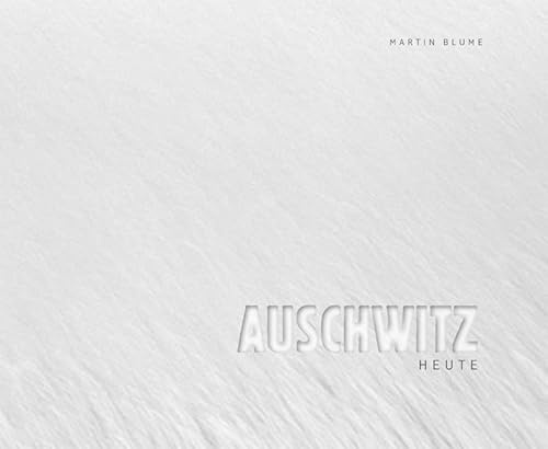 Auschwitz heute: Zur Wanderausstellung u.a. in Oswiecim und den USA, Frankreich und Osteuropa