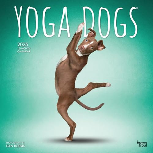 Yoga Dogs Official 2025 12 X 24 Inch Monthly Square Wall Calendar Plastic-Free