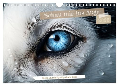 Schau mir ins Auge (Wandkalender 2026 DIN A4 quer), CALVENDO Monatskalender: Augen sind Fenster in eine neue Welt (CALVENDO Tiere)