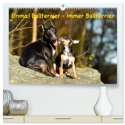 Einmal Bullterrier - immer Bullterrier (hochwertiger Premium Wandkalender 2026 DIN A2 quer), Kunstdruck in Hochglanz: Wunderbare Fotografien von Bullterriern. (CALVENDO Tiere)