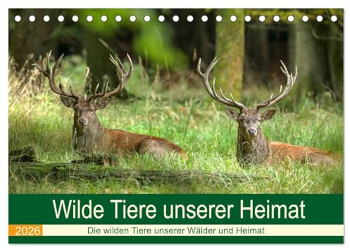Wilde Tiere unserer Heimat (Tischkalender 2026 DIN A5 quer), CALVENDO Monatskalender: Die wilden Tiere in Deutschlands Wäldern, an der Küste und in unserem Kulturland (CALVENDO Tiere)