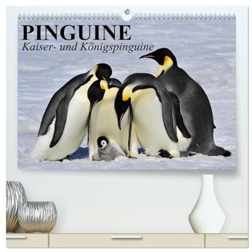 Pinguine - Kaiser- und Königspinguine (hochwertiger Premium Wandkalender 2026 DIN A2 quer), Kunstdruck in Hochglanz: Im Sonntagsfrack durch Eis und Schnee (CALVENDO Tiere)