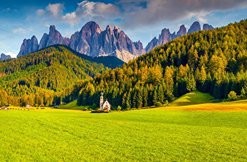 VLIES Fototapete-GEBIRGE-500x280 cm-(PF4194)-Alpen Berge Landschaft Natur Alm Gipfel Blumen Bäume Wald Wandbild Wandtattoo Dekoration