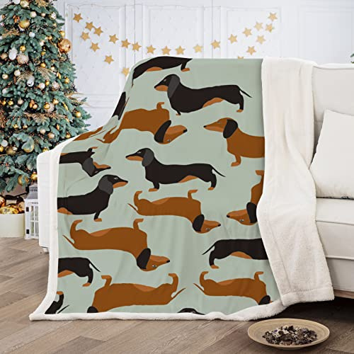 Dackel-Wurstdecke, wendbar, bedruckt, Sherpa-Decke für Kinder, Teenager, weiche, warme Mikrofaser-Fleece, solide Decke für Bett, Couch, Sofa und Reisen, 150 x 200 cm