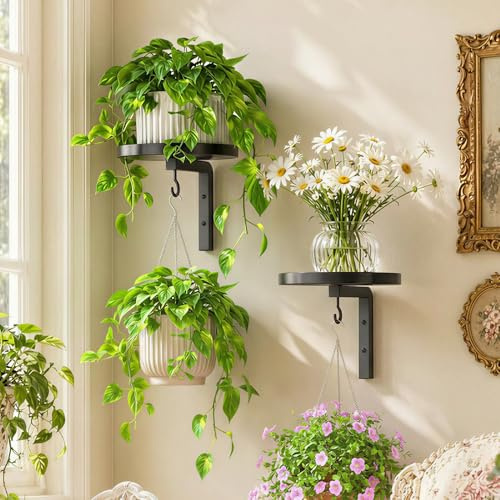 2PCS Wall Hanging Indoor Planter Holder, 2-in-1 Wall Plant Holder for Outdoor Garden, Heavy Duty Plant Shelf for Living Room Bedroom Decor, Plant Hanging Basket and Wall-Mounted Metal Bird Bath-Black