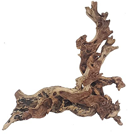 Hamiledyi Grand bois flotté naturel de 17,8 à 38,1 cm en bois flotté de corail pour décoration d'aquarium, décoration d'aquarium de reptile, décoration de terrarium, branche en bois, souche de tronc