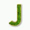 Acryltypo Moosly® Holzbuchstabe – J - mit Rahmen aus Holz, Moos Deko Buchstaben Zeichen Symbol Zahl - Holzbuchstabe mit echtem Islandmoos - Wandbilder Wohnzimmer Deko Wand Bilder Wohnzimmer Bilder