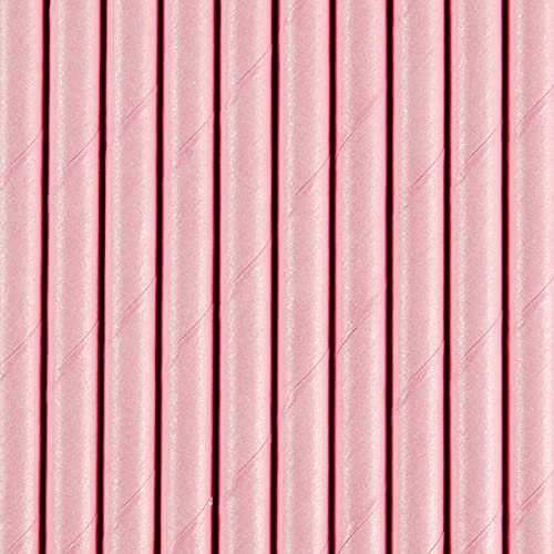 10 Pailles en Carton Rose Clair 19,5 cm - Rose - Taille Unique