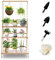 Estante de flores multifuncional de múltiples capas, escaleras de plantas de bambú para más plantas y cestas colgantes, para balcón interior, sala de estar, decoración de jardín al aire libre 68,5 x