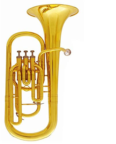 Bb Bariton Horn 3 Kolben Bariton Musikinstrumente Mit Mundstück und Koffer Trompeten Anfänger