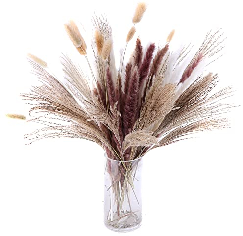 Katutude Pampasgras Getrocknet Pampasgrasdekor, Getrocknete Blumen Trockenblumen Deko Pflanzen Blumenstrauß Deko DIY für Besondere Anlässe, Hochzeit, Boho-Heimdekoration