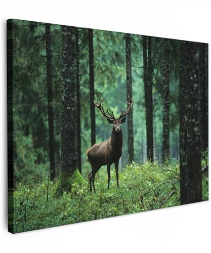 MuchoWow© Impression sur Toile Peinture 40x30 cm Tableau Mural Decoration Salon Reproductions de Tableaux Murale Moderne Cerf - Forêt - Arbres - Animaux - Nature