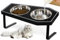 OPELETNNT Cat Food Bowls Elevated, Gothic Cat Bowls, Raised Cat Bowls for Indoor Cats with Non-Slip Stand & Bamboo Board, Stainless Steel and Whisker Friendly Food Bowls