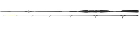 Daiwa Seahunter X 2.70m 30-60g