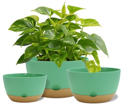 Koalaime Juego de 3 macetas grandes y modernas con agujeros de drenaje y platillos de plástico autorriego para plantas de interior y exterior