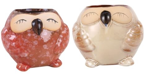 INOOMP 2stücke Eulen-blumentopf Aus Keramik Miniatur-blumentopf Für Pflanzen Kleiner Blumenhalter Kompakter Für Zimmer Und Garten