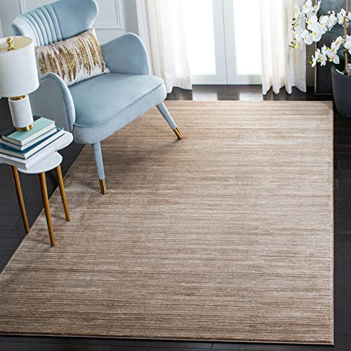SAFAVIEH Vision Area Rug 4x6, Modern Tonal Light Brown VSN606C