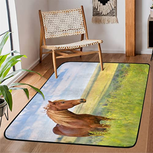 Rotes Pferd auf Blumenfeld, dicker Teppich für Wohnzimmer, Schlafzimmer, Esszimmer, Teppich, zottelig, weich, einzigartiger Teppich, Pferde, rechteckig, kleine Läufermatte, 150 x 100 cm