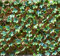 Smart Garden Products Maple Leaf Willow Trellis 180x90cm