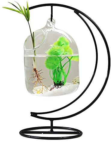 ZHDOKA 26,9 cm großes hängendes Glasaquarium mit Ständer, kleine transparente Goldfischschale, Mini-Aquarium-Pflanzen-Terrarium für Zuhause, Büro, Tischdekoration