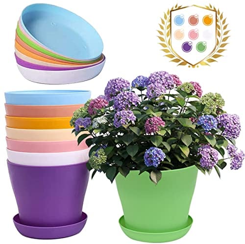 HZSOOCH 8pcs 14CM Colorful Plastic Plant Pots, 5.5 Small Plastic Flower Pots, Indoor Plant Pots, Garden Pots with Saucer for All House Plants, Flower, Succulents, Cactus and Outdoor Bonsai Plants