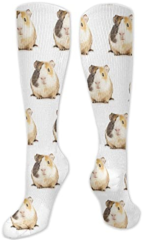 IUBBKI Calzini fantasia marrone porcellino d'India calzini invernali Wicking Ladies calzini unici stivali per gli uomini, San Valentino, donna,, Come nella foto, Taglia unica