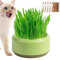 Katzengras-Pflanzgefäß – Hydrokultur-Katzengras-Pflanzgefäß Für Zimmerkatzen, Katzengras-Anzuchtset, Katzengras-Pflanzgefäß, Hydrokulturtopf, Ohne Zugabe Von Erde, Großer Wasserspeicher, Katzengras