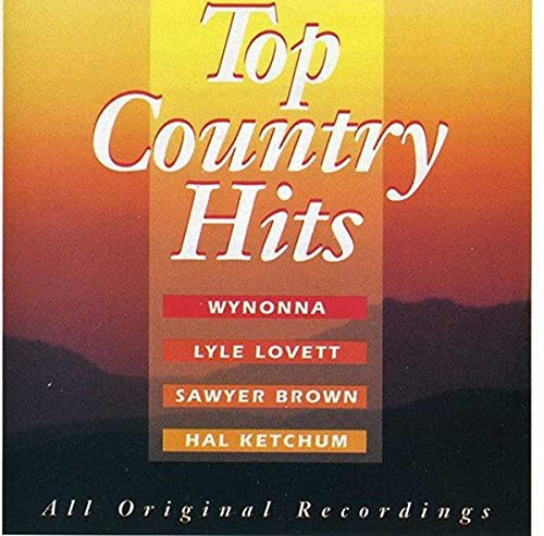 Top Country Hits / Various