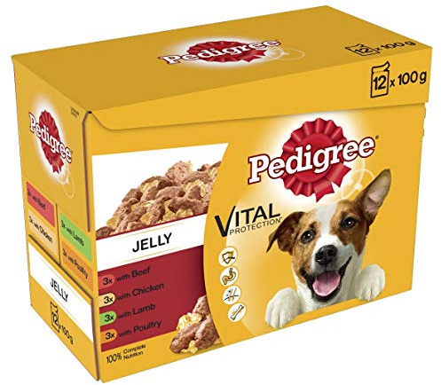 Pedigree Wet Dog Food for Adult Dogs 1+ Mixed Selection in Jelly 12 Pouches (12 x 100 g)