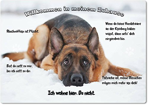 Merchandise for Fans Blechschild/Warnschild/Türschild - Aluminium - 20x30cm - - Willkommen in Meinem Zuhause - Motiv: Deutscher Schäferhund liegt im Schnee - 17