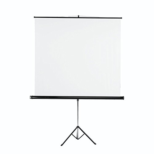 Hama Écran de projection sur pied (125 cm x 125 cm) Blanc