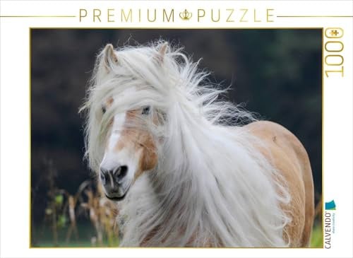 CALVENDO Puzzle EIN Motiv aus dem Kalender Haflinger Schönheiten | 1000 Teile Lege-Größe 64 x 48 cm Foto-Puzzle für glückliche Stunden