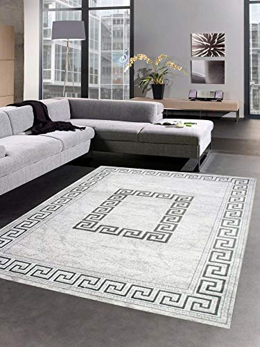 CARPETIA Teppich Wohnzimmerteppich mit Glitzer grau Größe 120x160 cm