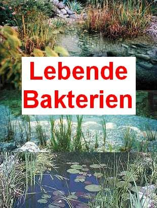 100 g lebende Bakterien + 2 große Schwimmpflanzen