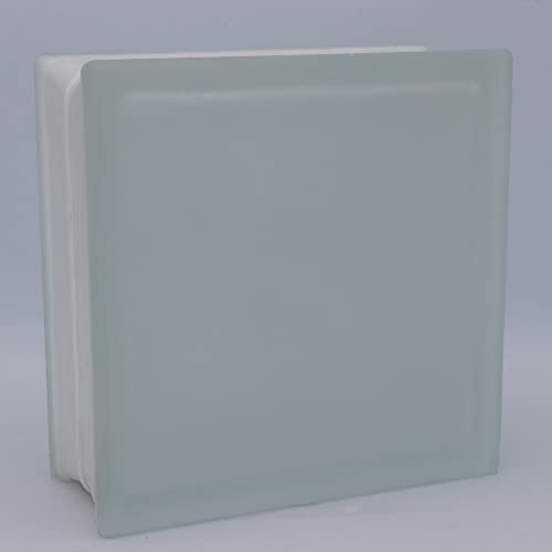 5 pièce FUCHS briques de verre nuage incolore 2 face satinée 19x19x8 cm