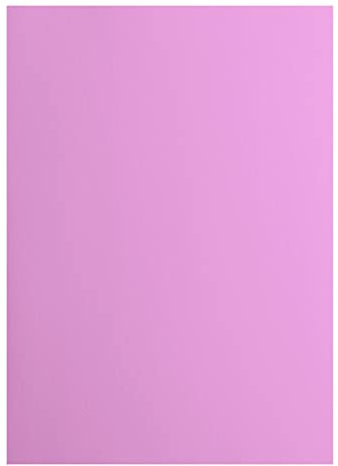 vaessen creative Florence Papier Cartonné, Rose (Hortensia), 216g, 10 Feuilles, Surface Lisse, pour Peindre, Scrapbooking et plus, DIN A4