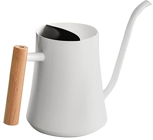 Gießkanne für Zimmerpflanzen, 35oz/1000ml Weiße Gießkanne Kleine Für Pflanzen, Vintage Giesskanne aus Edelstahl Gießkanne Mit Langem Auslauf Und Komfortablem Holzgriff, Gartengeschenke Für Frauen
