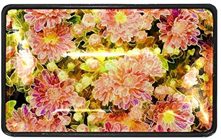 4 Pcs Drawer Pull Handle for Dresser Kitchen Cabinets Wardrobe Paint Pink Green Peony Flower Plant Pattern