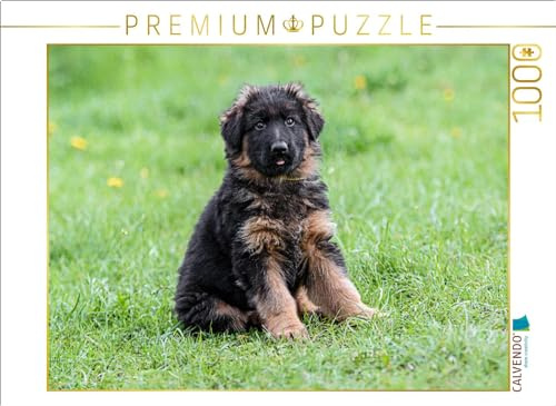 CALVENDO Puzzle Schäferhund - Welpe Langstockhaar | 1000 Teile Lege-Größe 64 x 48 cm Foto-Puzzle für glückliche Stunden