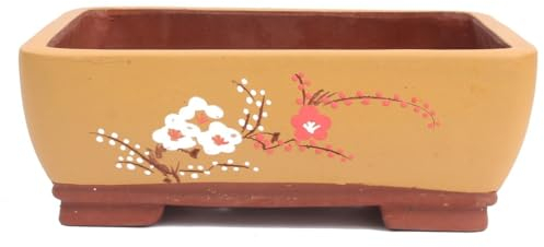 generisch Bonsai - Schale eckig 33,5 x 25 x 12,5 cm, mit handgemalten Motiven 40625