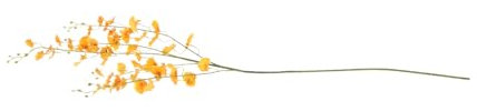 Künstliche Orchideenblume Oncidium, Orange, Kunststoff Seide, Langstielig