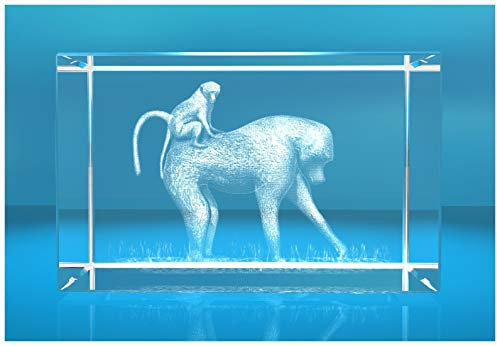 ELUNO 3D Glasquader I Affen