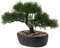 Bonsaï japonais artificiel en pot pour intérieur/extérieur, pin, pour maison, bureau, 23 cm